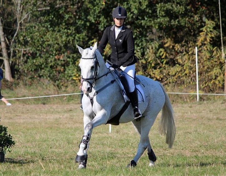 ShowRiders
