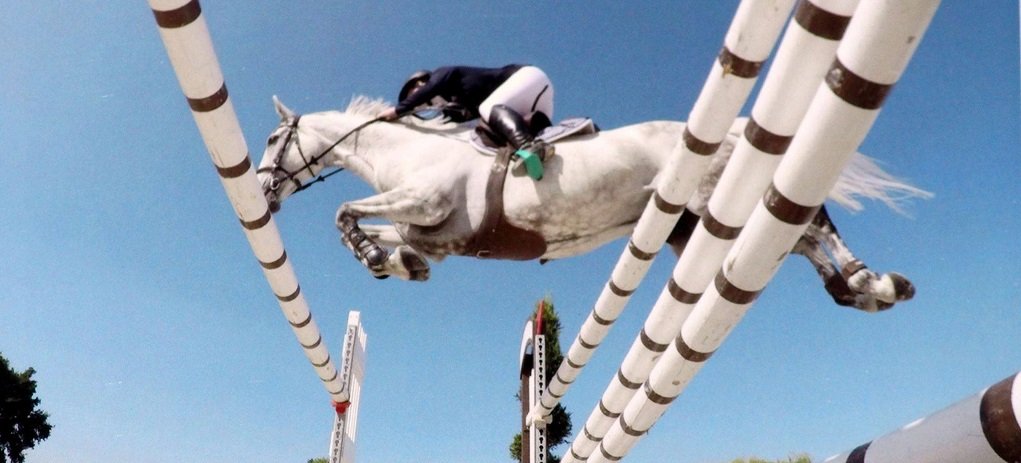 ShowRiders