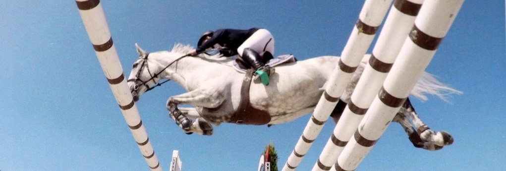 ShowRiders