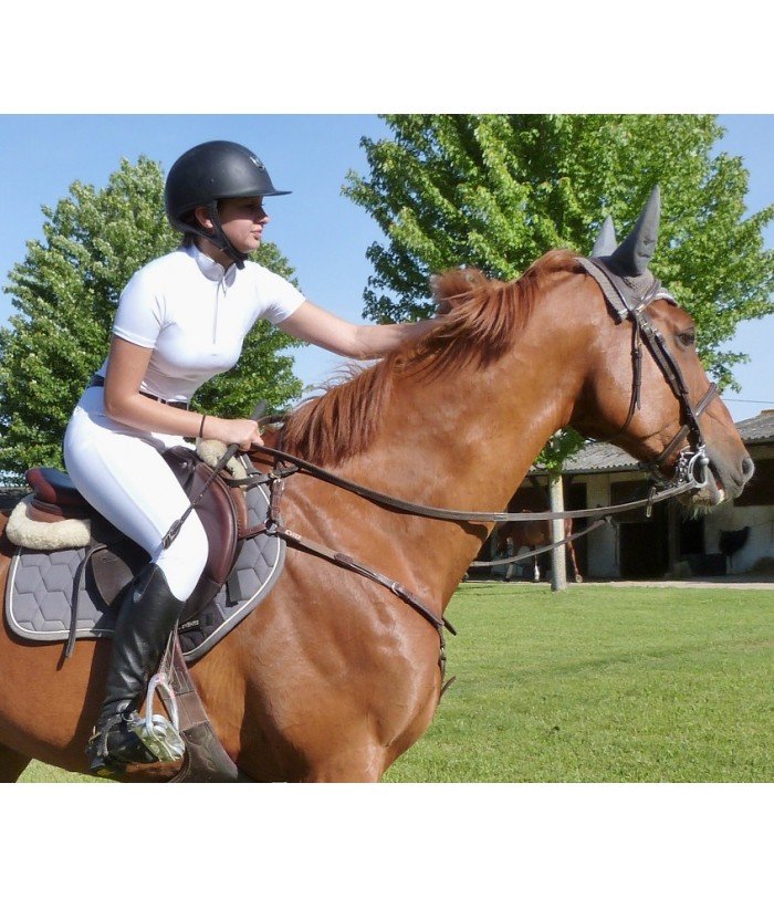 ShowRiders